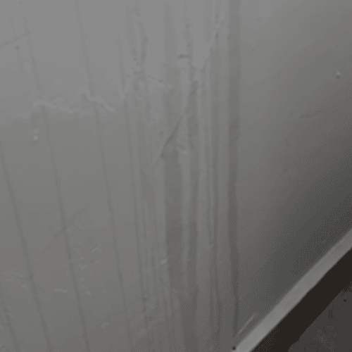 家居潮濕問題檢查示例｜牆身水漬與木地板翹起的早期徵兆